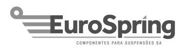 Logo Eurospring Flybizz
