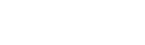 flybizz-logo-white